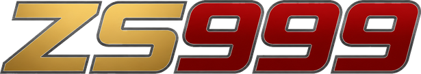 zs999